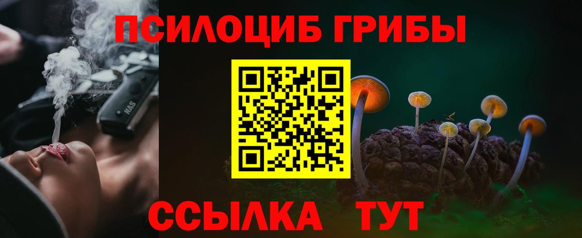 Волгоград  что такое наркотик  Вход с VPN  Галлюциногенные грибы прущие грибы 